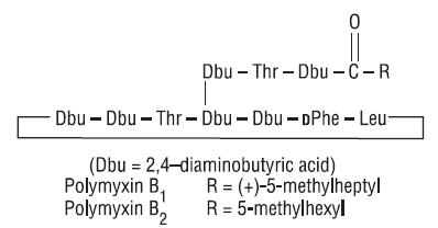 Structure Image 2