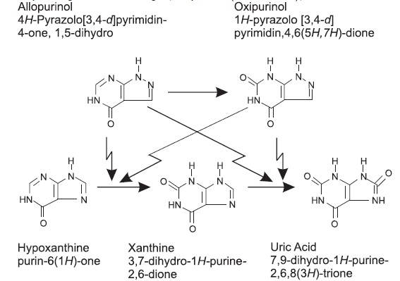 allopurinoltabletsfigure