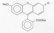 Fluorescein Sodium and Benoxinate Hydrochloride Ophthalmic Solution USP, 0.25%/0.4% is a disclosing agent with rapid anesthetic action of short duration.
Fluorescein Sodium is represented by the following structural formula.
