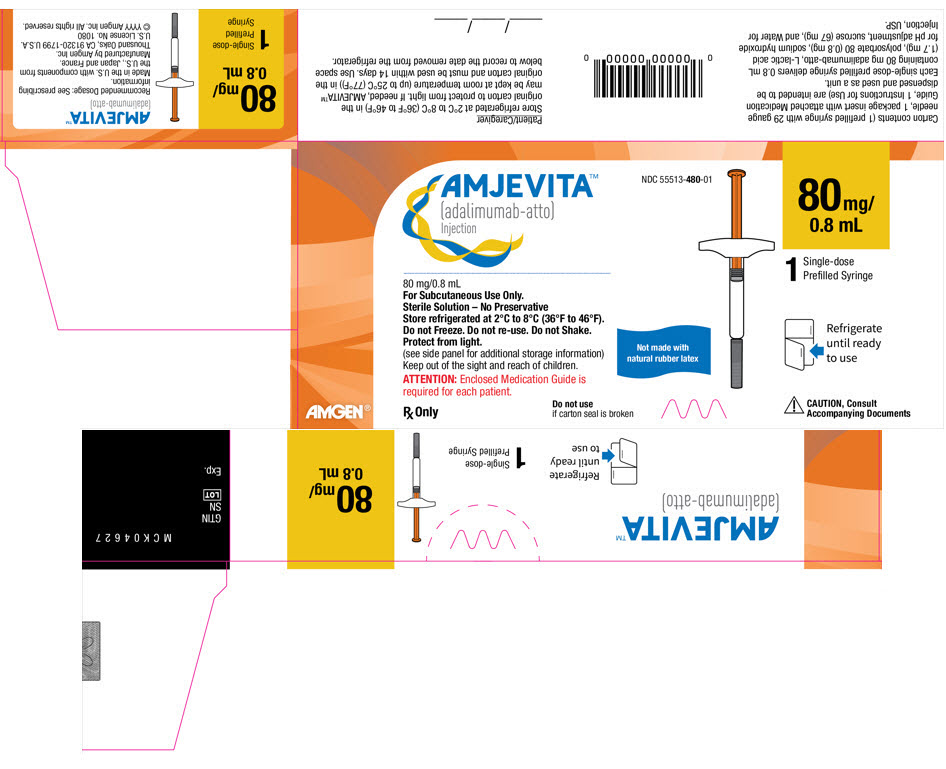 PRINCIPAL DISPLAY PANEL - 80 mg Syringe Carton