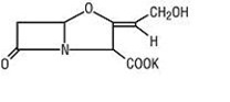 amoxi-strb.jpg