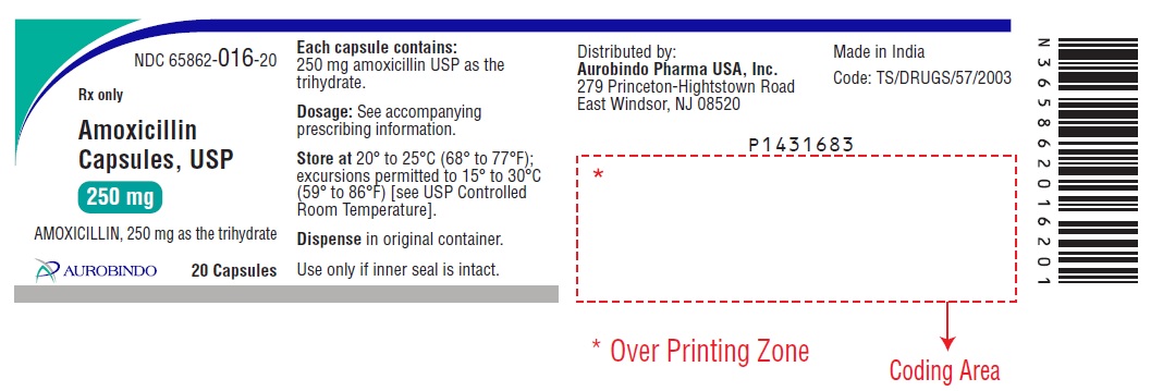 PACKAGE LABEL-PRINCIPAL DISPLAY PANEL - 250 mg (20 Capsule Bottle)