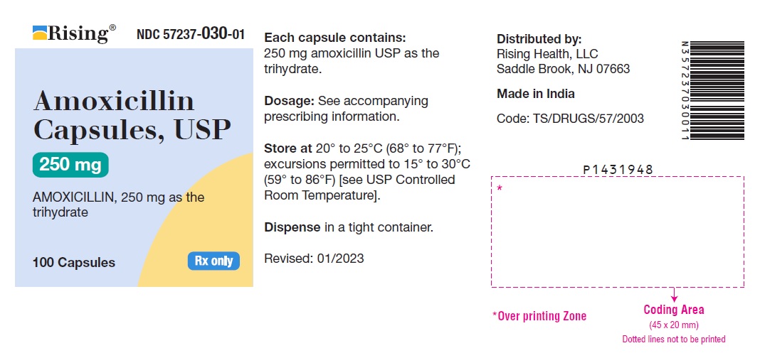 PACKAGE LABEL-PRINCIPAL DISPLAY PANEL - 250 mg (100 Capsules Bottle)