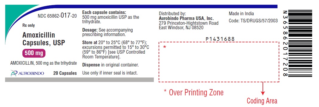 PACKAGE LABEL-PRINCIPAL DISPLAY PANEL - 500 mg (20 Capsule Bottle)