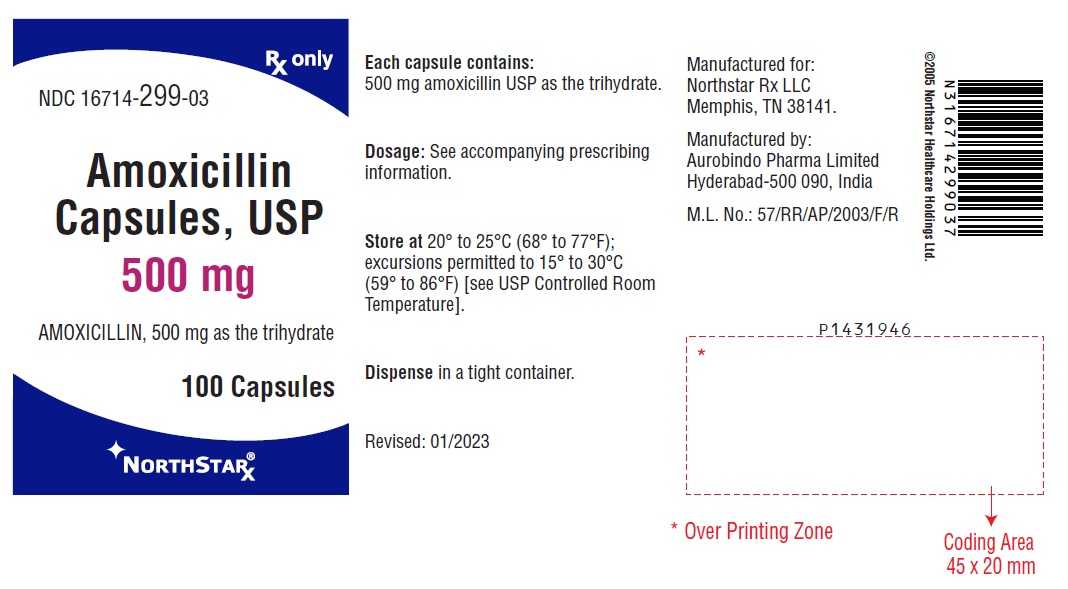 PACKAGE LABEL-PRINCIPAL DISPLAY PANEL - 500 mg (100 Capsule Bottle)