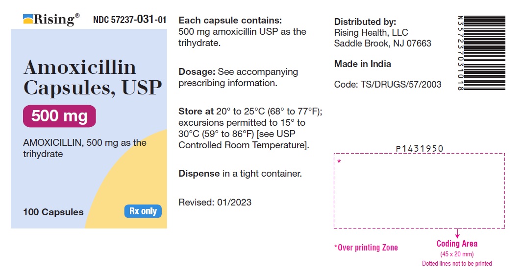 PACKAGE LABEL-PRINCIPAL DISPLAY PANEL - 500 mg (100 Capsule Bottle)