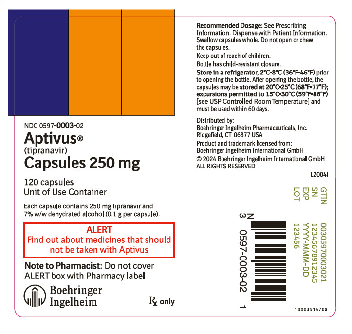 PRINCIPAL DISPLAY PANEL - 250 mg Capsule Bottle Label