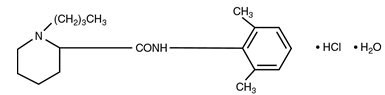 Bupivacaine Hydrochloride