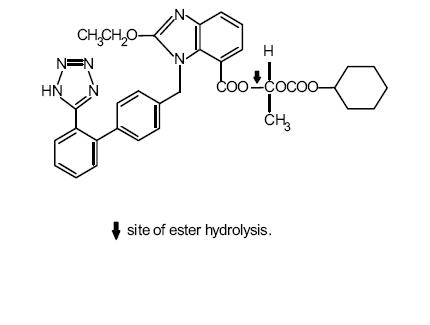 cande-structure