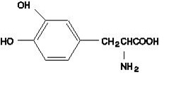 Structure-Levodopa