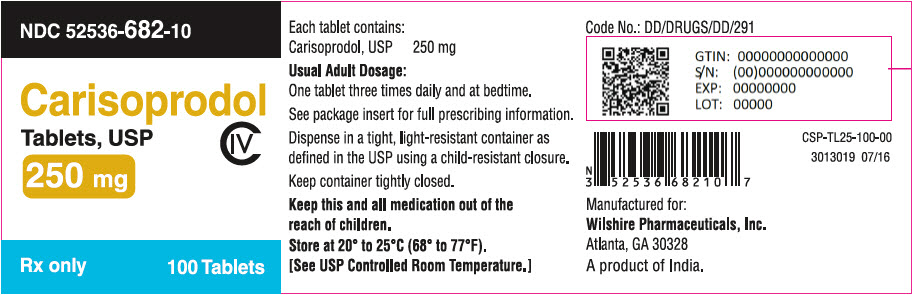 PRINCIPAL DISPLAY PANEL - 250 mg Tablet Bottle Label