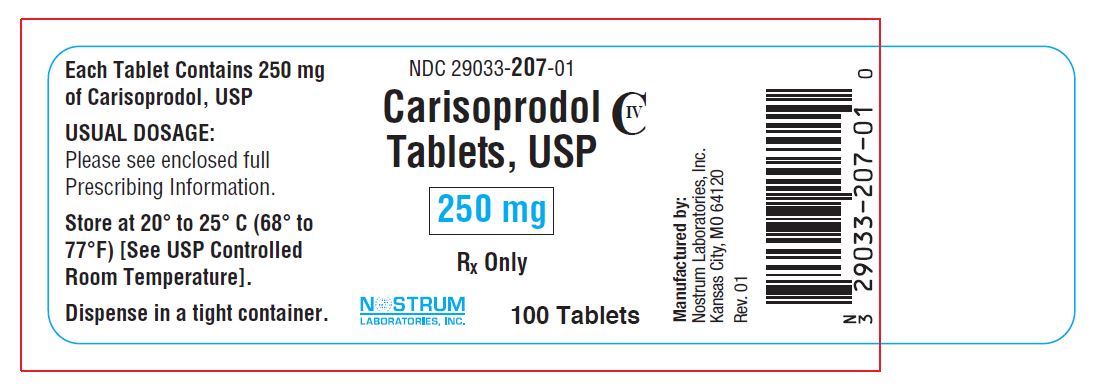 Package Label - Principal Display Panel – 100-count Carton, 250 mg Tablets