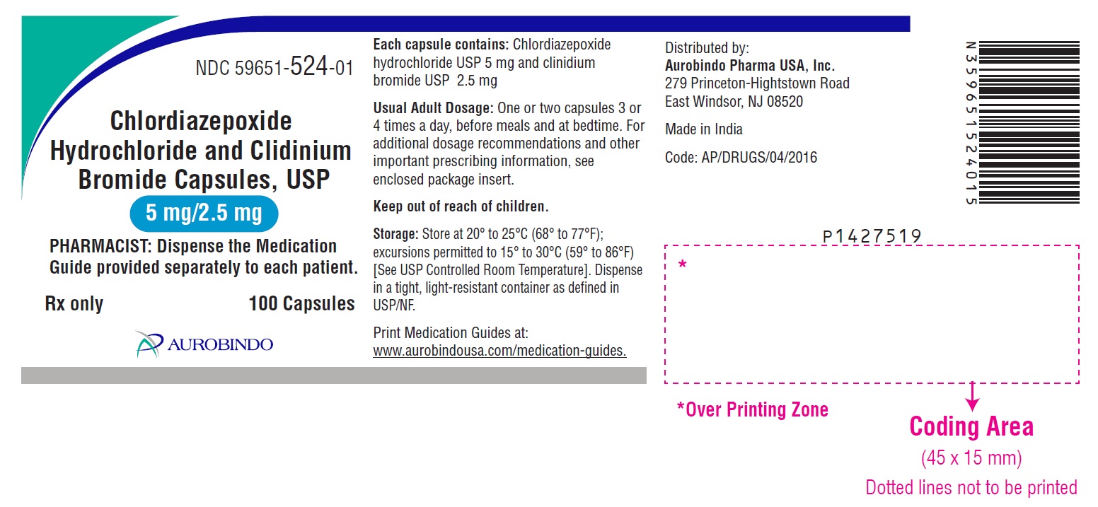 PACKAGE LABEL-PRINCIPAL DISPLAY PANEL - 5 mg/2.5 mg (100 Capsules Bottle)