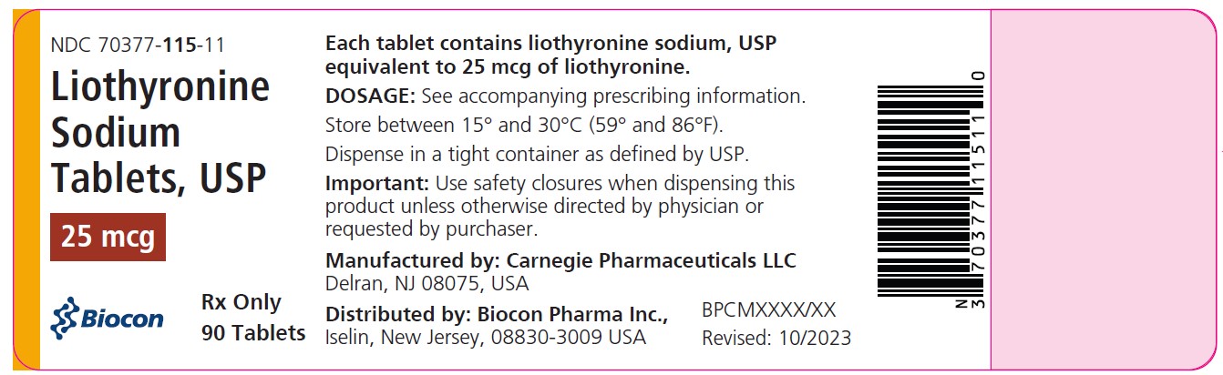 containerlabel25mcg90cc