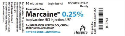 Principal Display Panel – Vial Label
