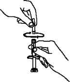 7.	Continue to hold the barrel of the syringe.  With your free hand, twist the 25 gauge needle onto the tip of the syringe until it fits snugly.  Place the syringe on your flat work surface.