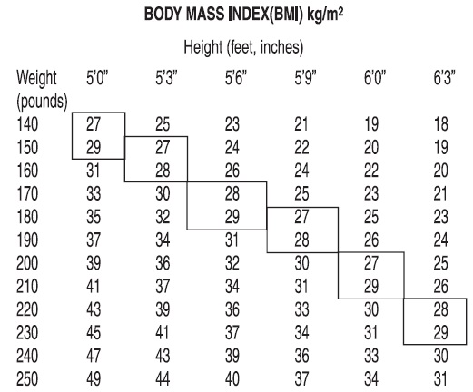 BMI Index