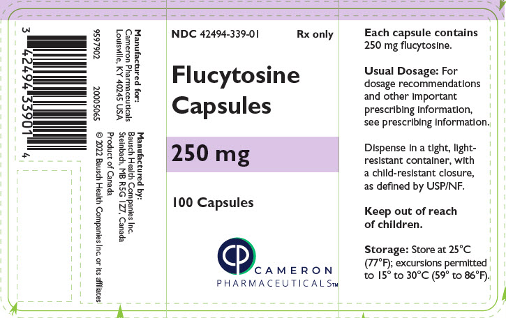 PRINCIPAL DISPLAY PANEL - 250 mg Capsule Bottle Label