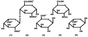 Structure of Heparin Sodium (Representative Subunits)
