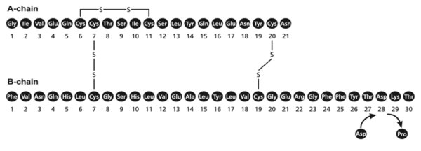 Molecular Formula