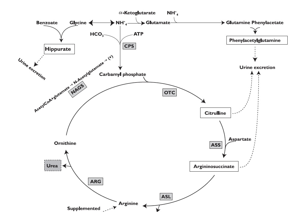 fig-2