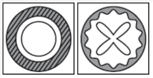 airway graphic