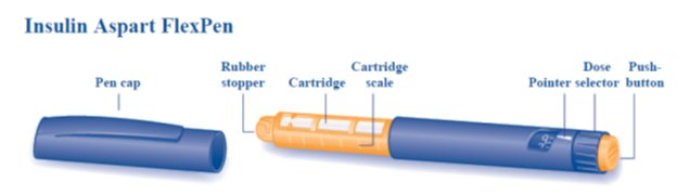 Overview - FlexPen