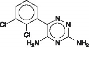 lamotrigine