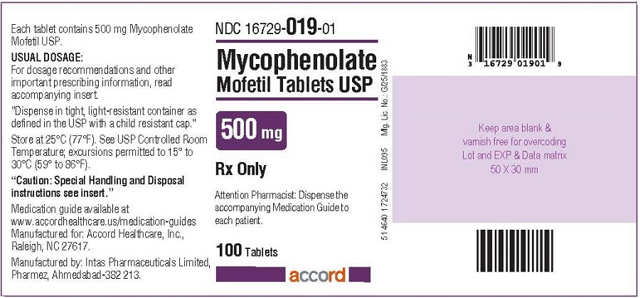 500 mg : 100 tablets