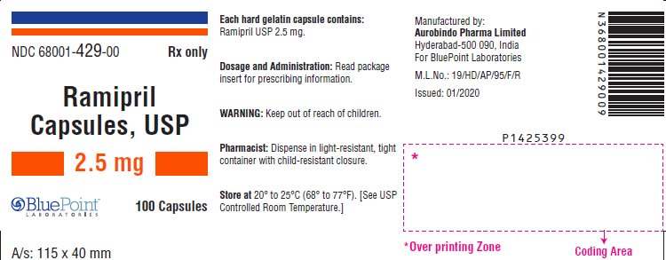 Ramipril Capsules USP 2.5mg 100 Capsules Rev 01/2020