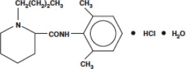 Bupivacaine Hydrochloride Monohydrate Chemical Structure
