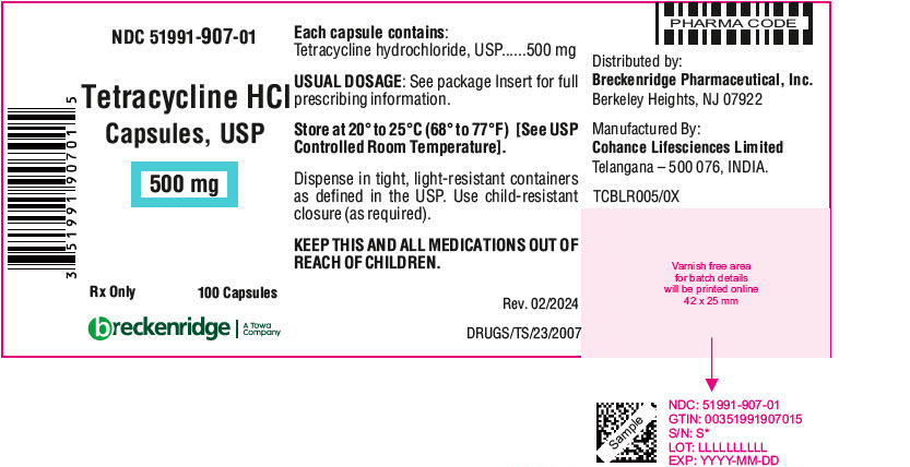 PRINCIPAL DISPLAY PANEL - 500 mg Capsule Bottle Label