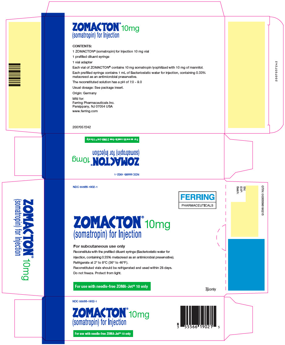 Principal Display Panel - 10 mg Kit Carton - 1902